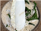 turbot
